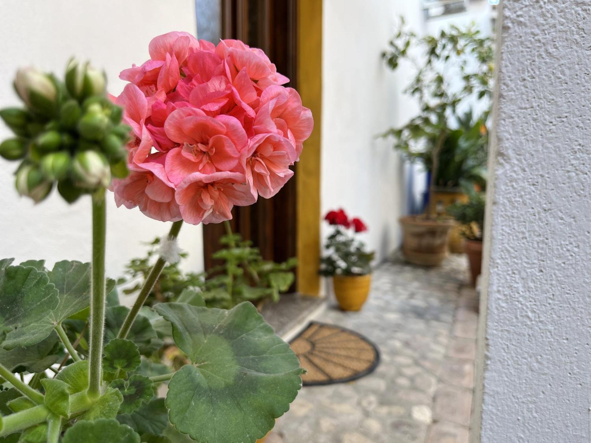 Galtellì Casa Lia - Independent Apartment In The Gulf Of Orosei מראה חיצוני תמונה